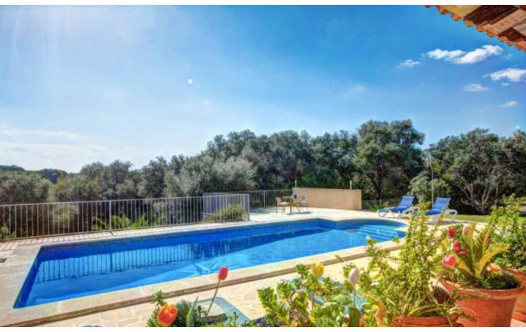 Villa Rito Nou Феланитс Екстериор снимка